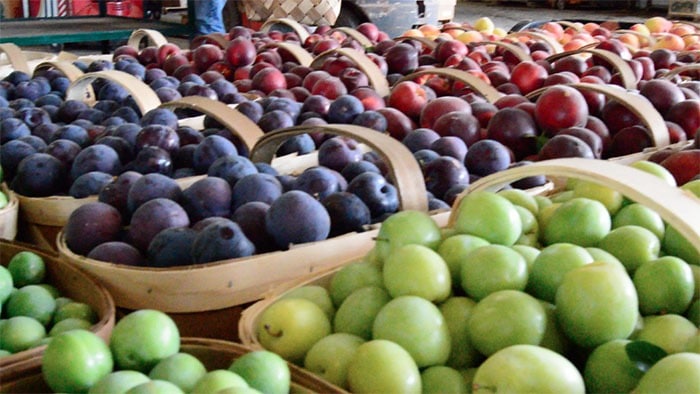 Fresh Plums | Jaemor Farms